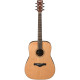 IBANEZ ARTWOOD AW65NATURAL