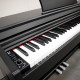 ECHORD DPX100 SATIN BLACK