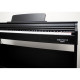 ECHORD DPX100 SATIN BLACK