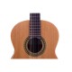 JOSE TORRES JTC-5 SB NATURAL